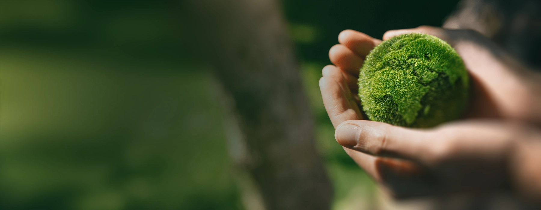 Sürdürülebilirlik